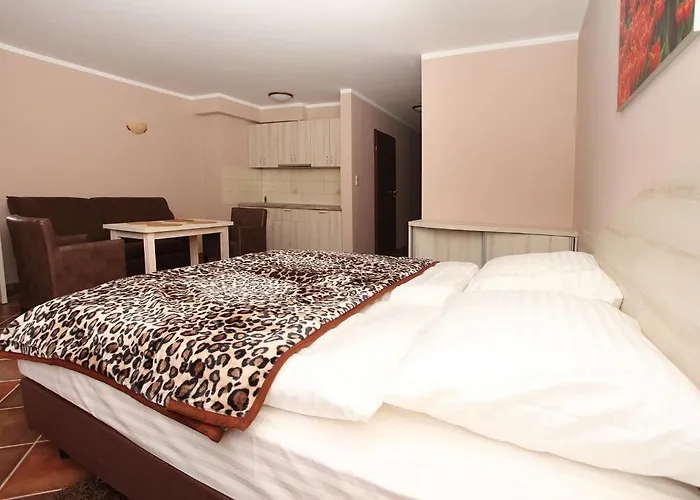 Rok コウォブジェク