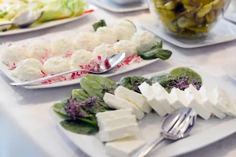 Rok コウォブジェク