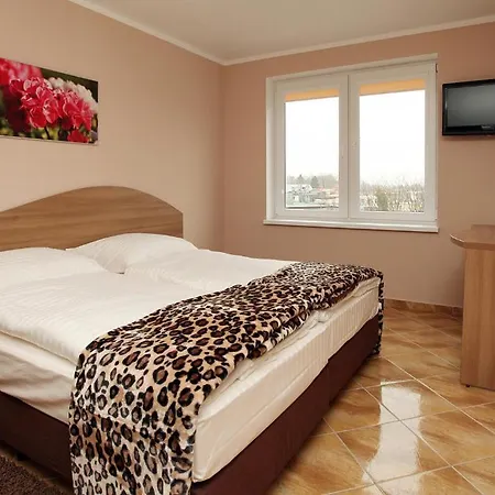 Apartment Rok *