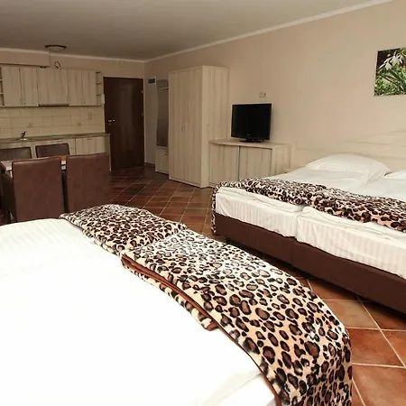 Rok Apartment